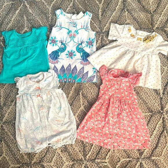 Assorted Baby Girl Dresses, Rompers and Tops Size 12M, OshKosh, Carter’s - Picture 1 of 10